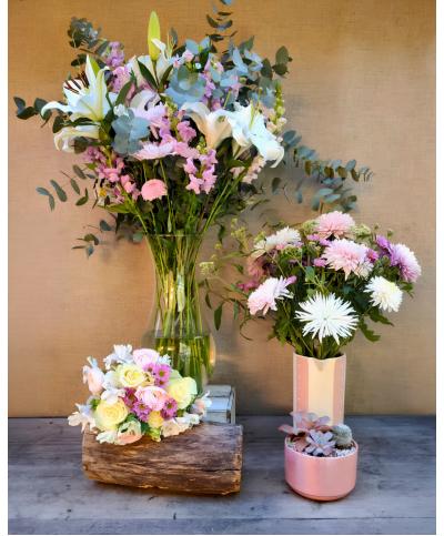Escarcha Rosa | Conjunto Medium & Jardin