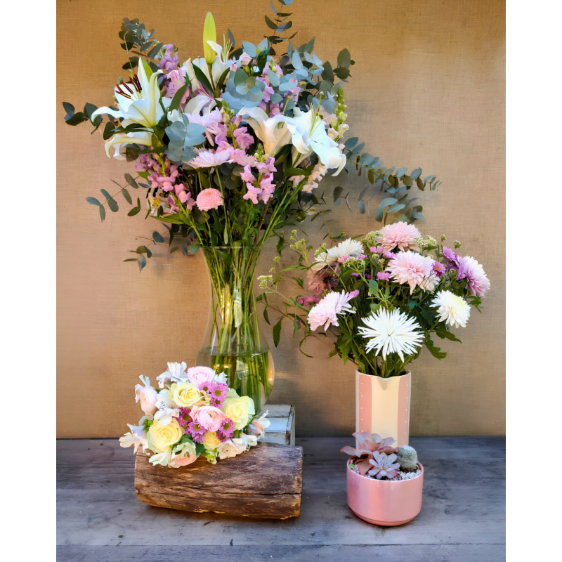 Escarcha Rosa | Conjunto Medium & Jardin
