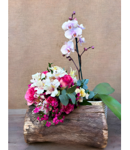 Latidos de Primavera | Bouquet & Orquídea