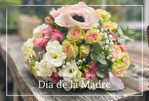Dia de la Madre