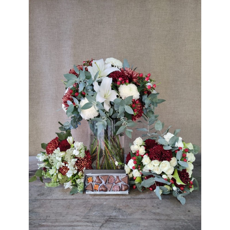 Amor al Sol | Super Conjunto