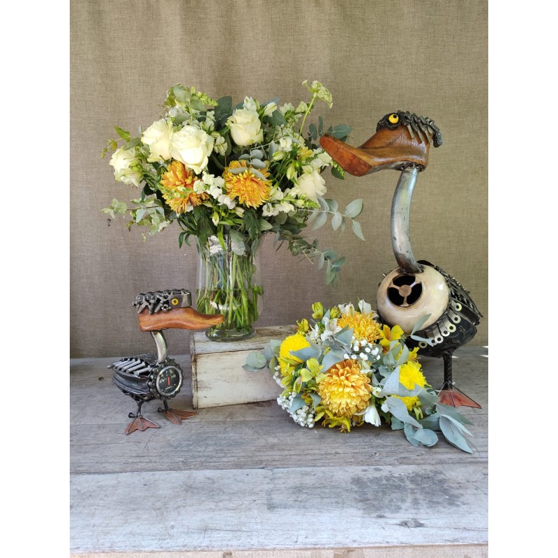 Zambullida Dorada | Conjunto medium