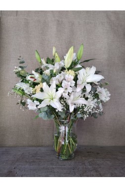 luz de esperança Maria