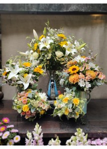 Casita de María | Conjunto premium