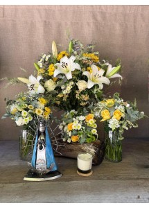 Ella nos cuida | Conjunto premium