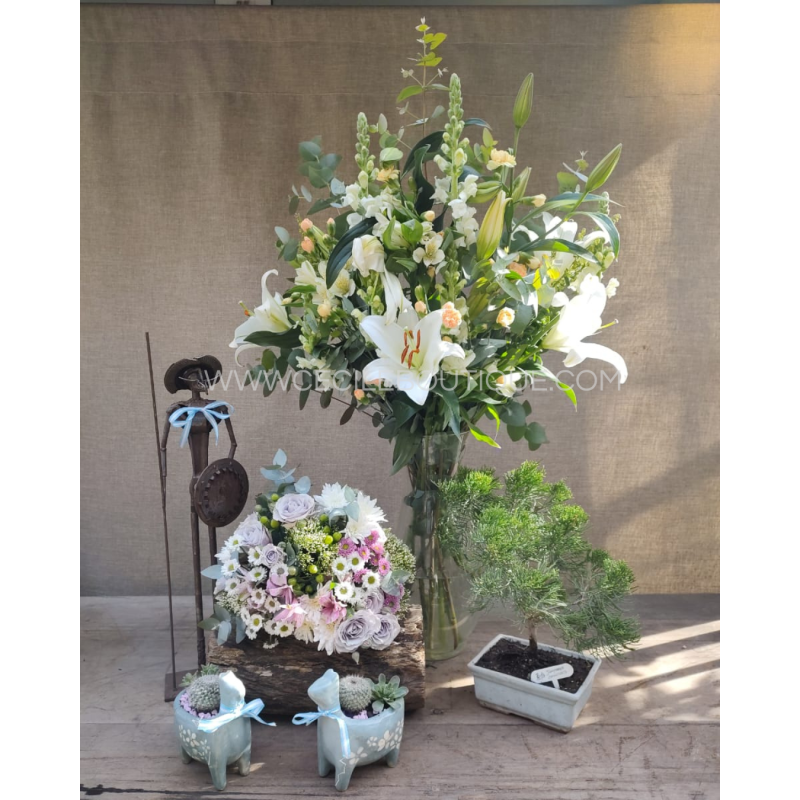 Aires de victoria | Conjunto de ramos con jardines y escultura Aires de victoria | Conjunto de ramos con jardines y escultura
