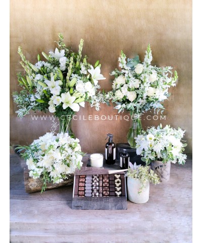 Alba | Conjunto Premium