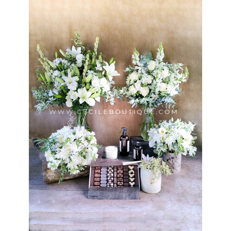 Alba | Conjunto Premium