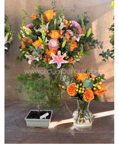 Sunset of July | Bouquet set with bonsai tree
