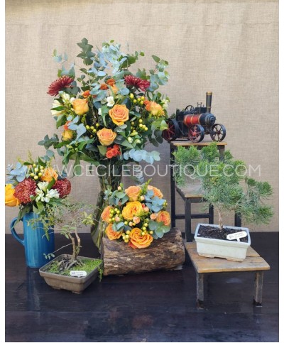 Patriotic sunset-Conjunto premium