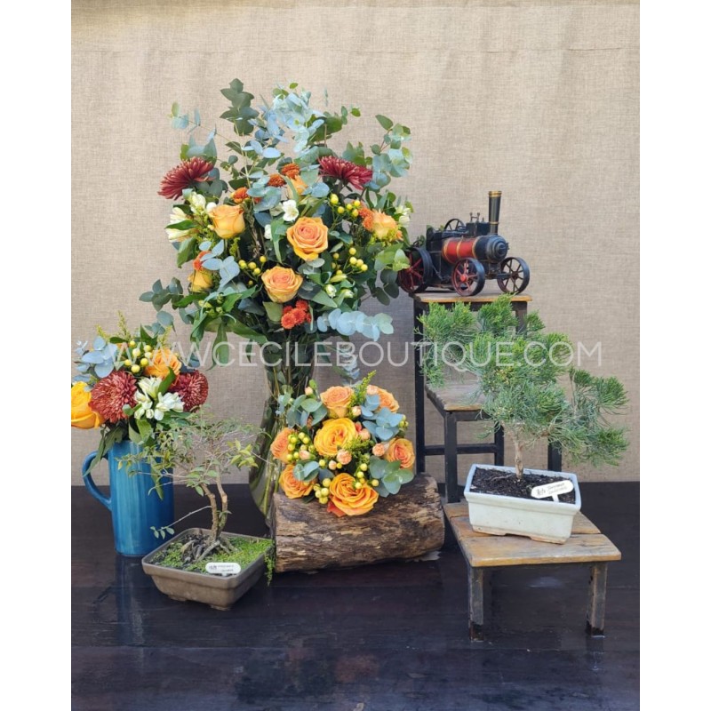 Atardecer patrio -Conjunto premium Atardecer patrio -Conjunto premium