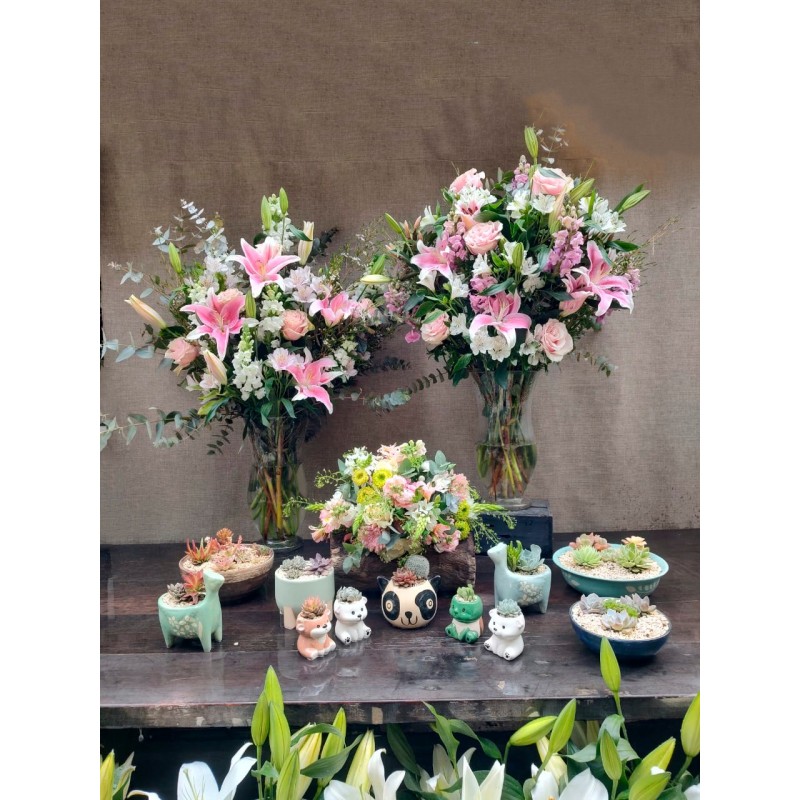 Bienvenida primavera | conjunto premium Bienvenida primavera | conjunto premium