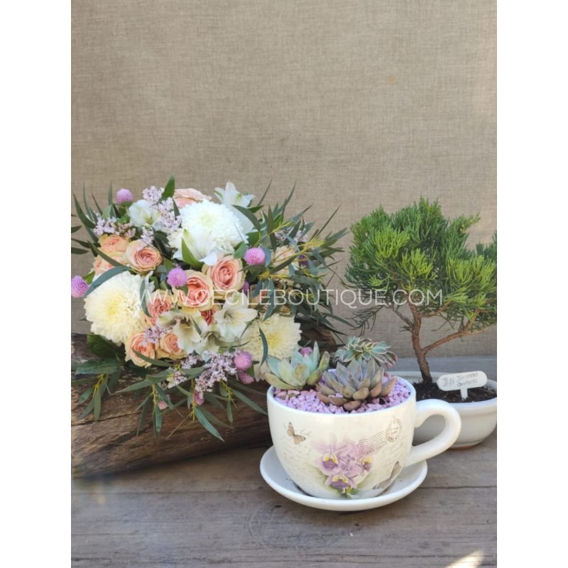 Calma/ Set con bonsai