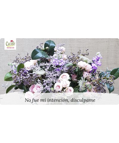 No fue mi intención, disculpame