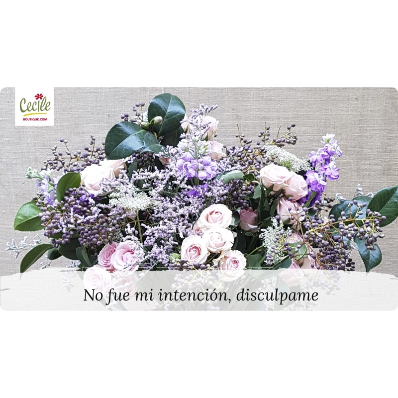 No fue mi intención, disculpame