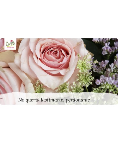 No quería lastimarte, perdoname