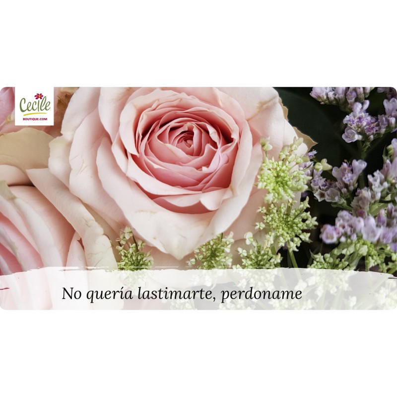 No quería lastimarte, perdoname