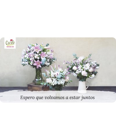 Espero que volvamos a estar juntos