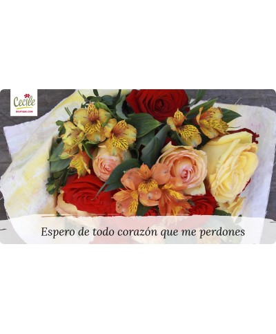 Espero de todo corazón que me perdones