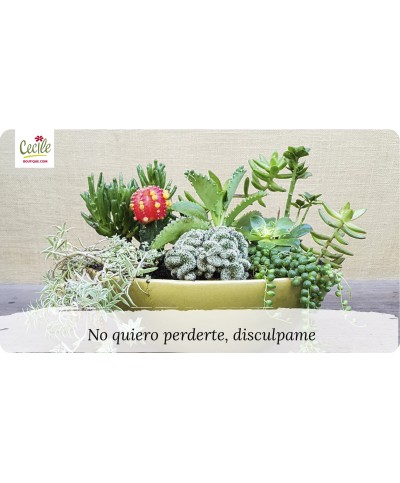 No quiero perderte, disculpame