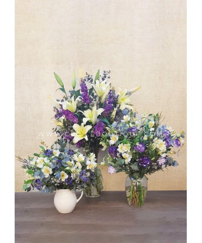 Momentos  Juntos | Seder de Pésaj