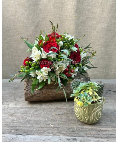 Crepusculo | set con jardin