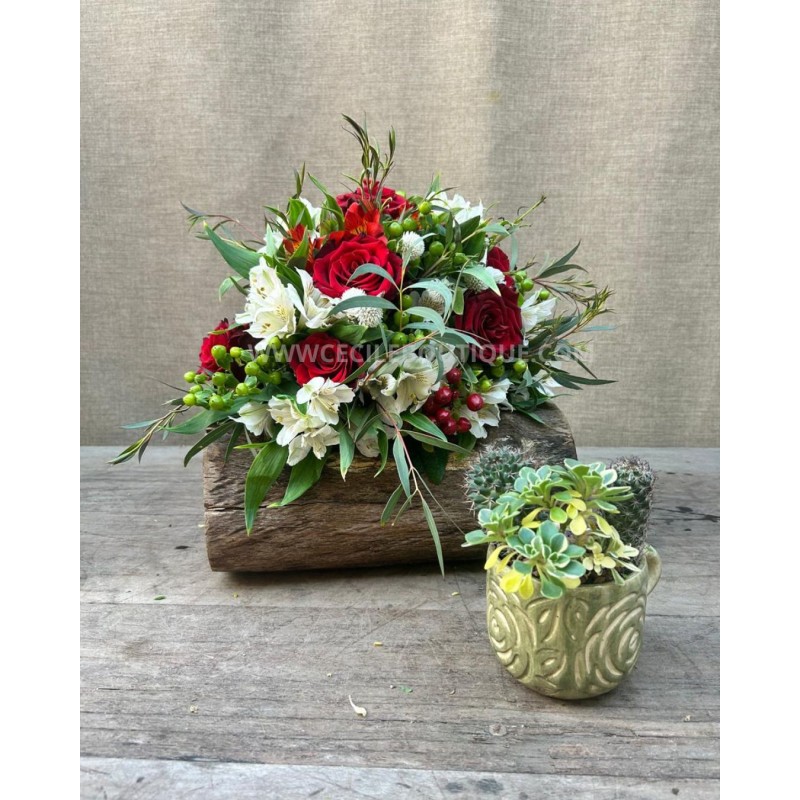 Crepusculo | set con jardin