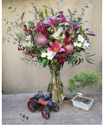 Heroe/set con bonsai