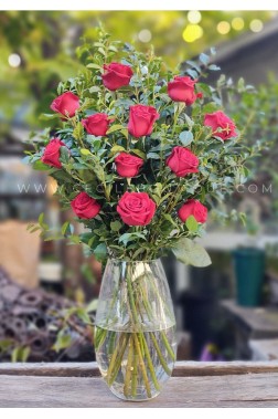 Rouge | Concepto de Rosas Rojas