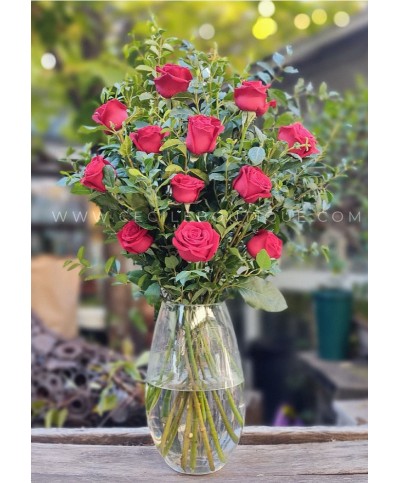 Rouge | Concepto de Rosas Rojas Rouge | Concepto de Rosas Rojas