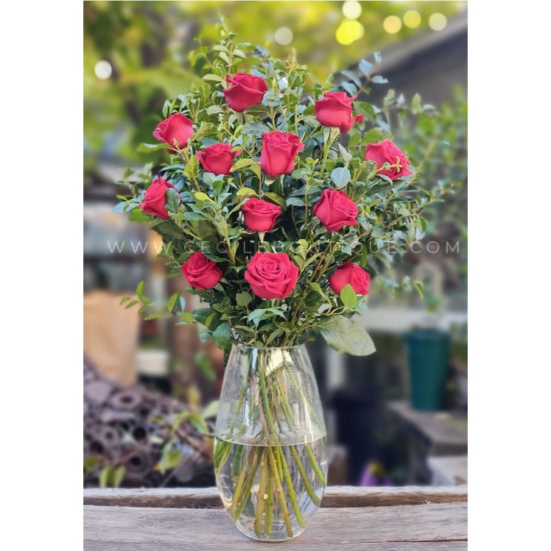 Rouge | concepto de rosas rojas Rouge | concepto de rosas rojas