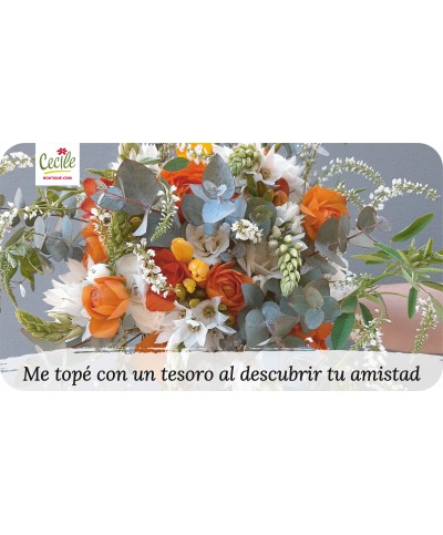 Me topé con un tesoro al descubrir tu amistad