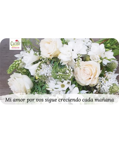 Mi amor por vos sigue creciendo cada mañana