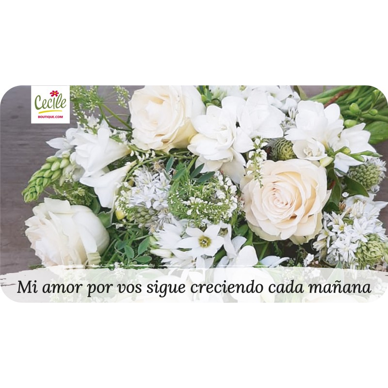 Mi amor por vos sigue creciendo cada mañana