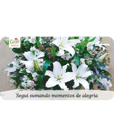 Seguí sumando momentos de alegría