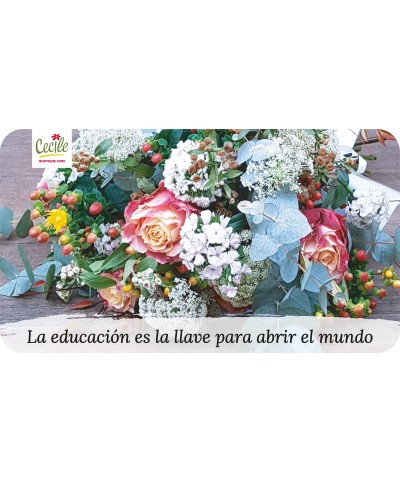 La educación es la llave para abrir el mundo