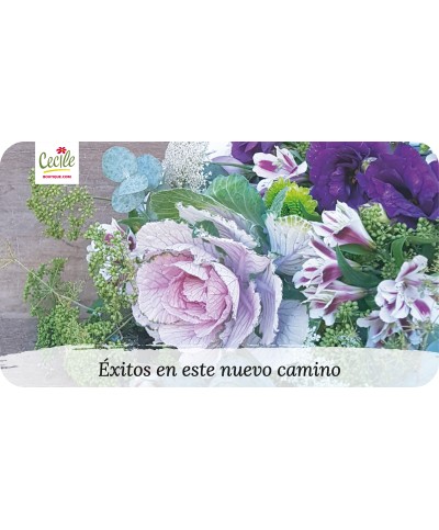 Sucesso neste novo caminho