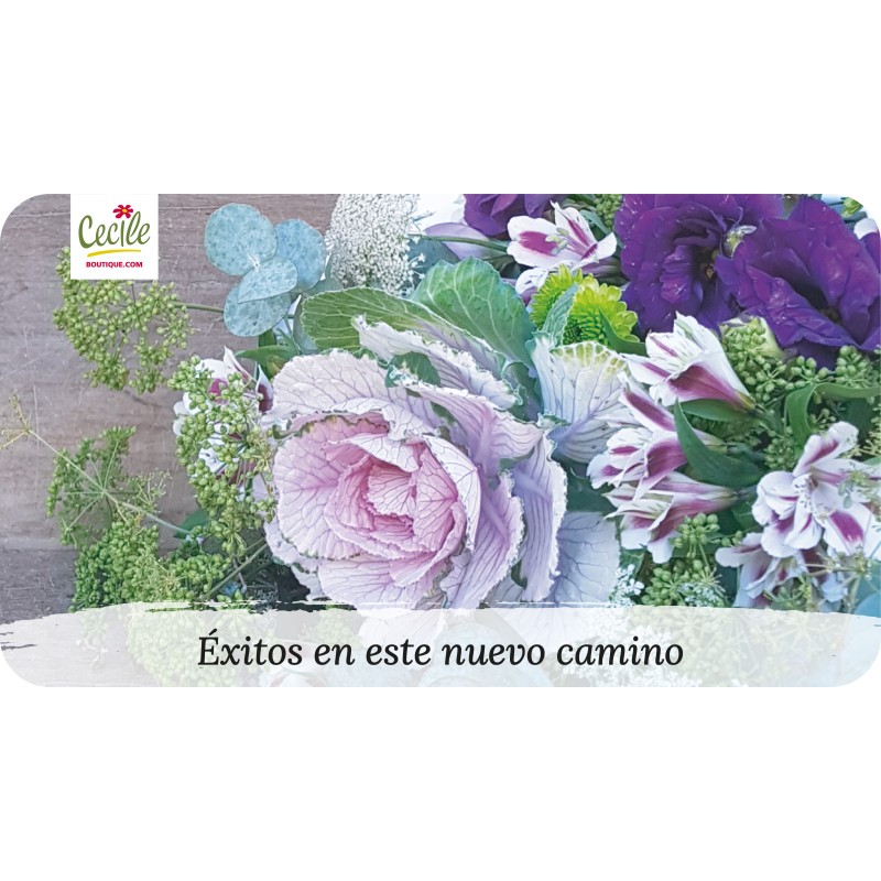 Sucesso neste novo caminho