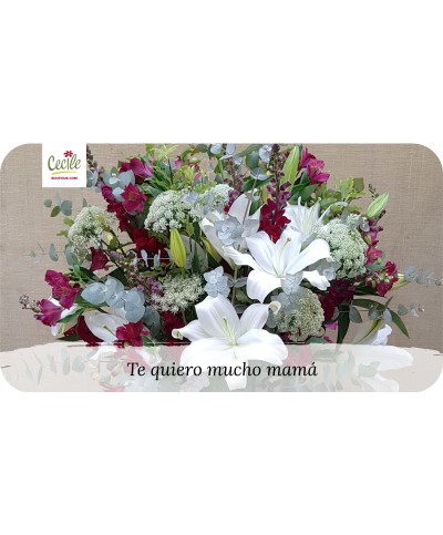 Te quiero mucho mamá