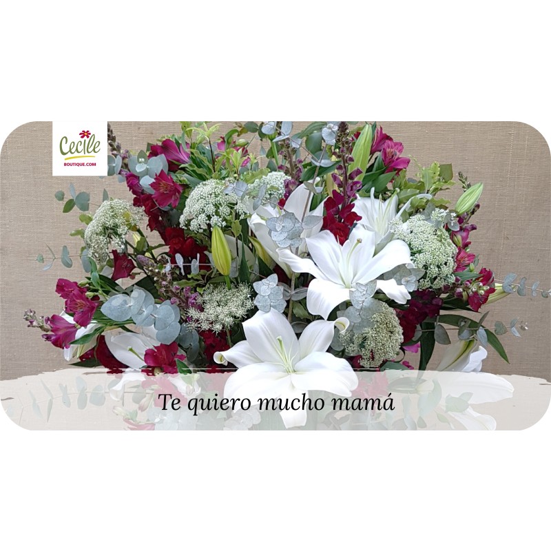 Te quiero mucho mamá