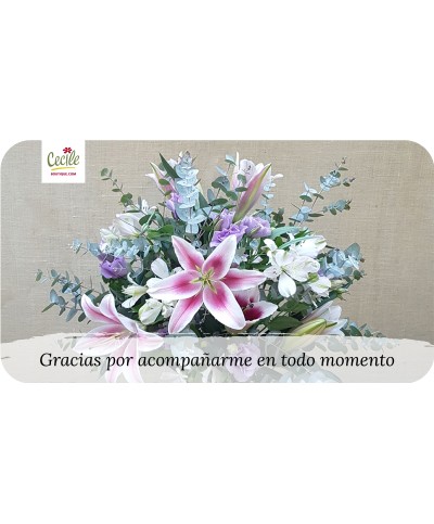 Gracias por acompañarme en todo momento