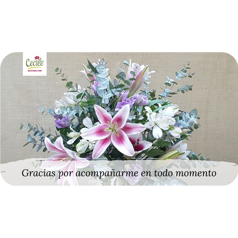 Gracias por acompañarme en todo momento