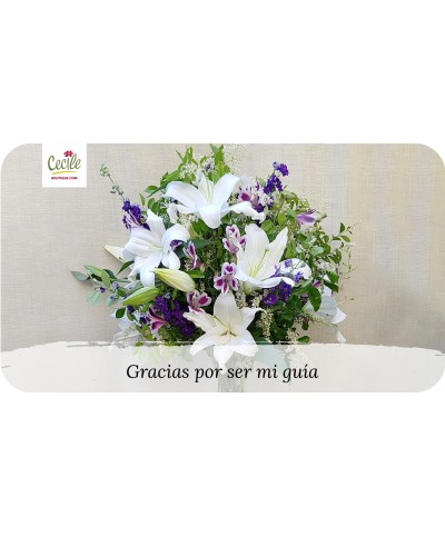 Gracias por ser mi guía