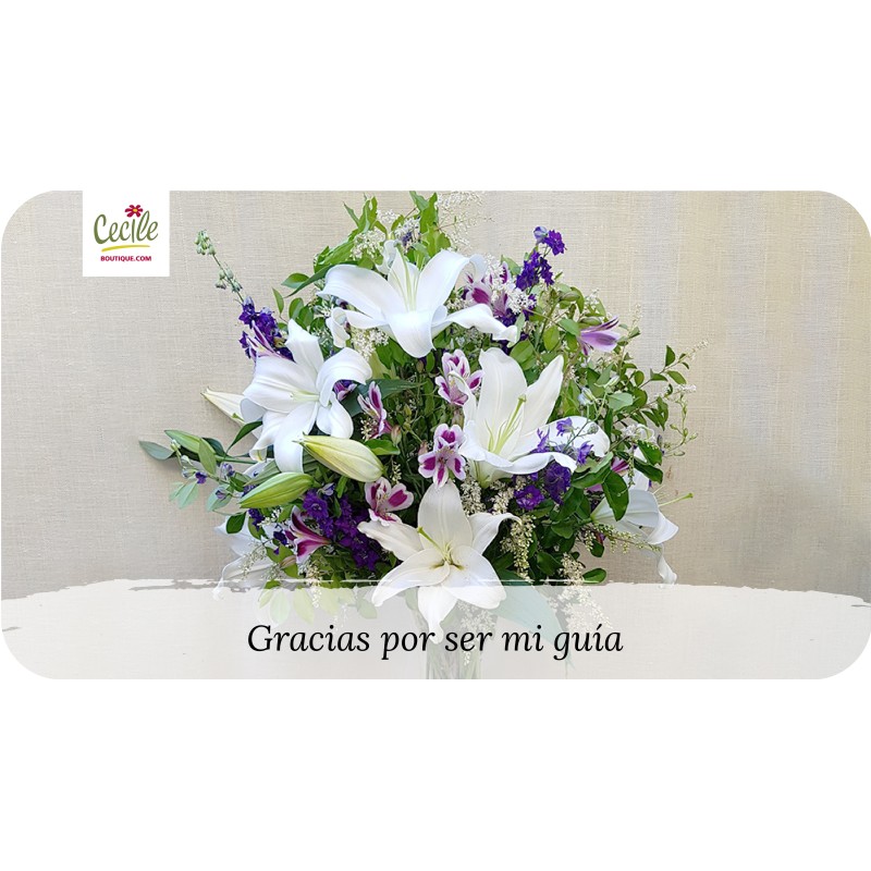 Gracias por ser mi guía