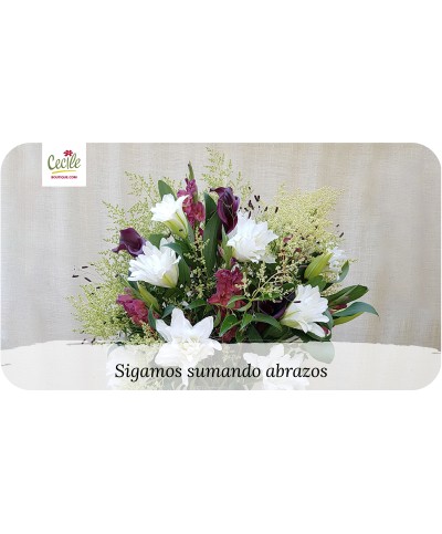 Sigamos sumando abrazos