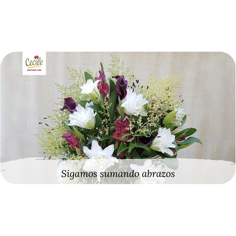 Sigamos sumando abrazos