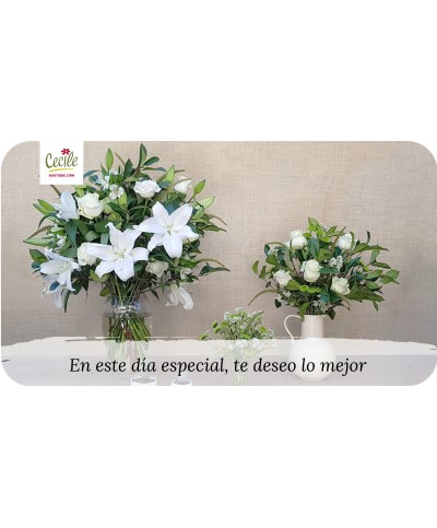 En este día especial, te deseo lo mejor