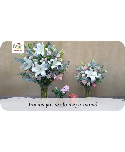 Gracias por ser la mejor mamá