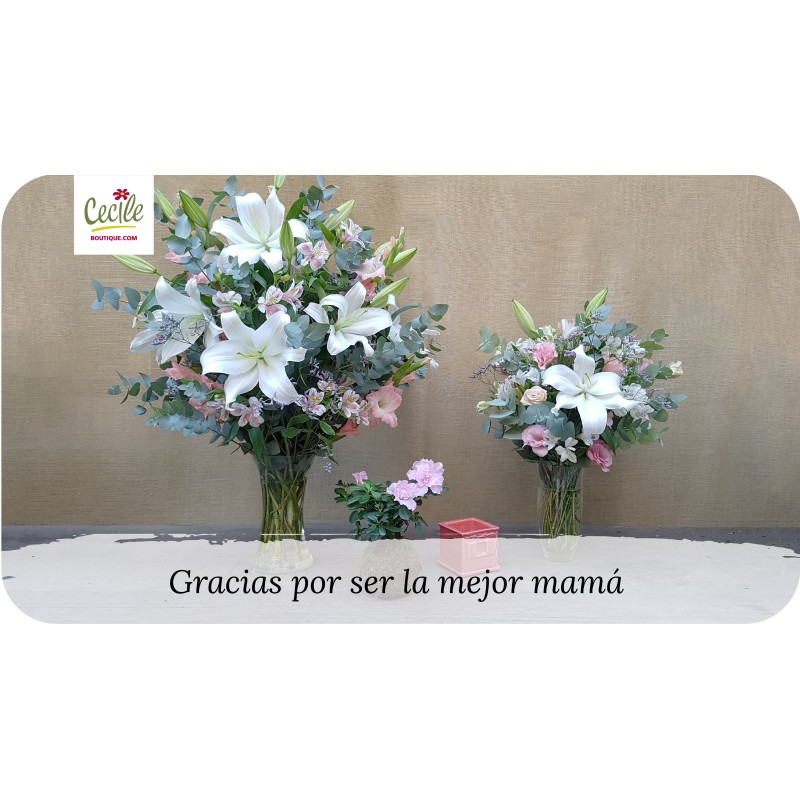 Gracias por ser la mejor mamá