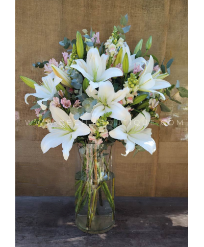 Fragances of May | May 25th